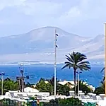 El Sultan 71 *
