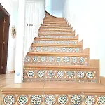El Sultan 71